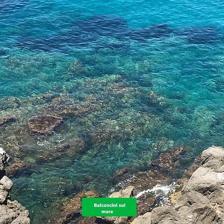 La Casetta Sul Mare Di 체팔루 외부 사진